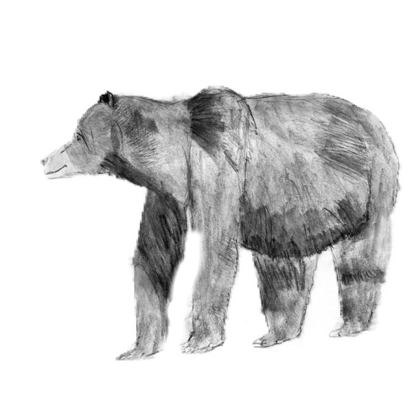 bearfridayclub Thumbnail